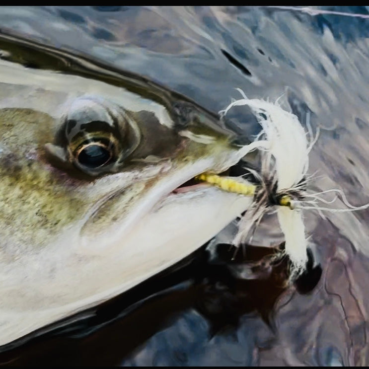 Lee Wulff Fly Fishing Lodge nestled in the heart of Newfoundland