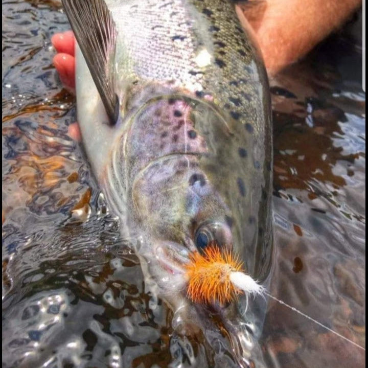 Lee Wulff Fly Fishing Lodge nestled in the heart of Newfoundland