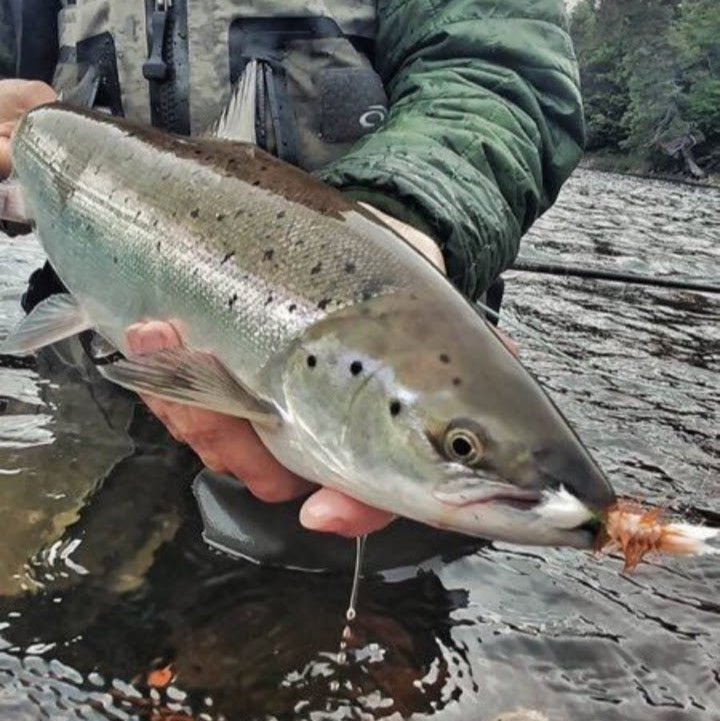 Lee Wulff Fly Fishing Lodge nestled in the heart of Newfoundland