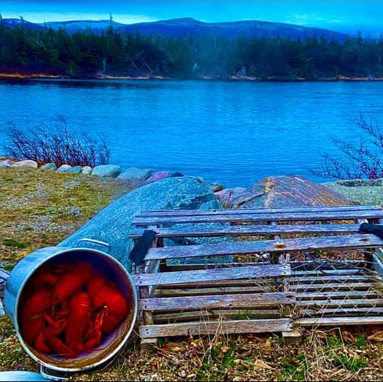 Lee Wulff Fly Fishing Lodge nestled in the heart of Newfoundland