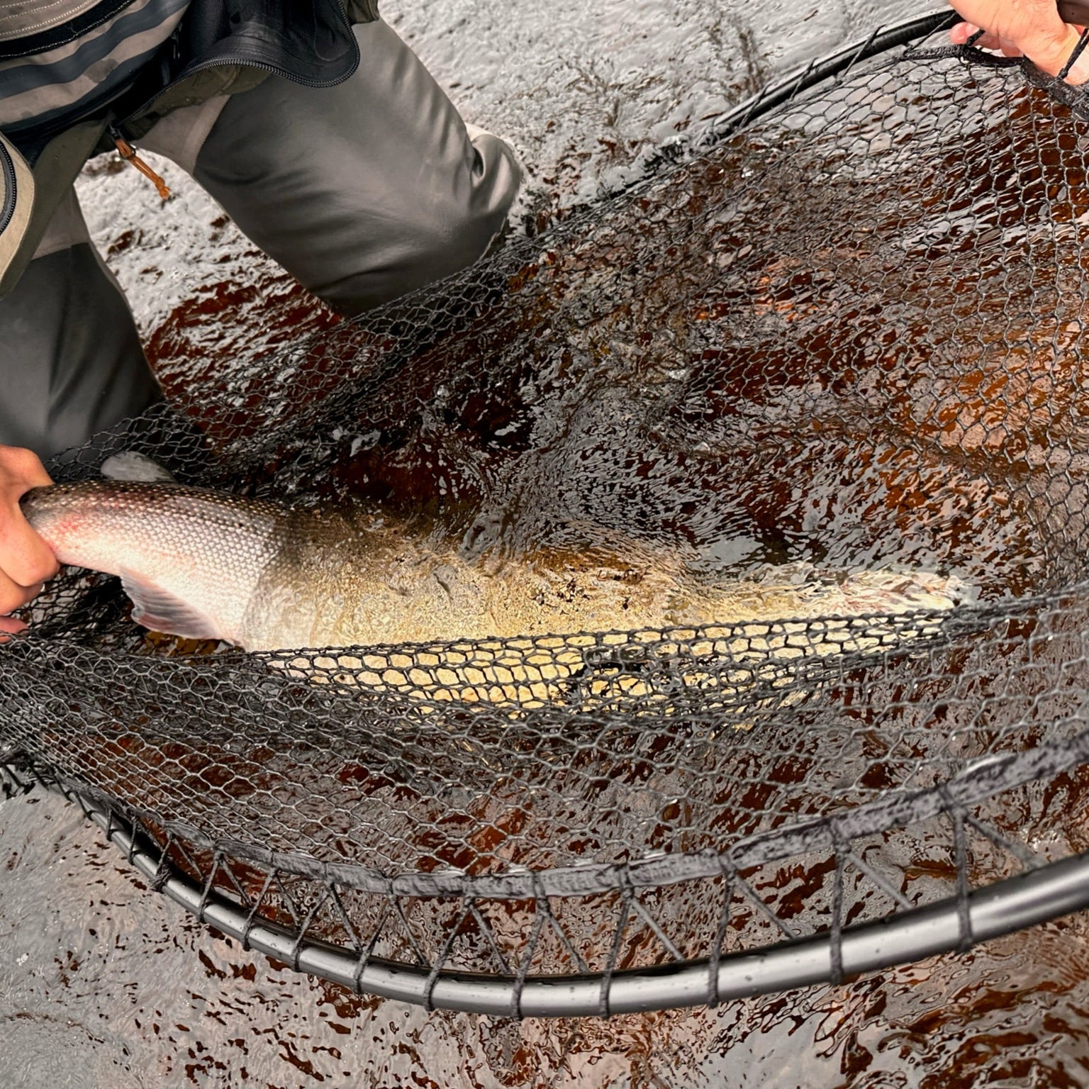Lee Wulff Fly Fishing Lodge nestled in the heart of Newfoundland